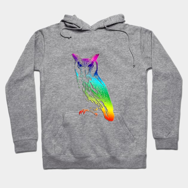 Owl Rainbow Hoodie by hudayadi